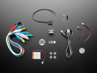 A collection of electronic parts included in a starters pack. 