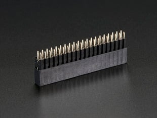 Extra-tall GPIO socket header.