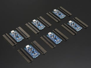 Angled shot of 6 Trinkets next to two 16-pin headers each. 