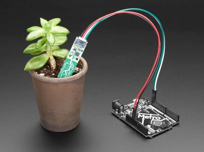 Adafruit STEMMA Soil Sensor - I2C Capacitive Moisture Sensor - JST PH 2mm - Demo Shot of the Adafruit STEMMA Soil Sensor - I2C Capacitive Moisture Sensor in a small potted plant, with wires connecting it to an Adafruit Metro.