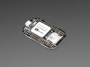 Angled shot of a small, rectangle-shaped microcontroller.