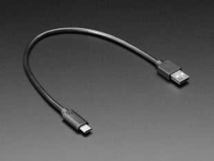 Angled shot of a one-foot-long, black, USB Type A to Type C Cable