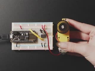 Demo Shot of the Feather wired to L9110 chip, driving a DC motor back and forth