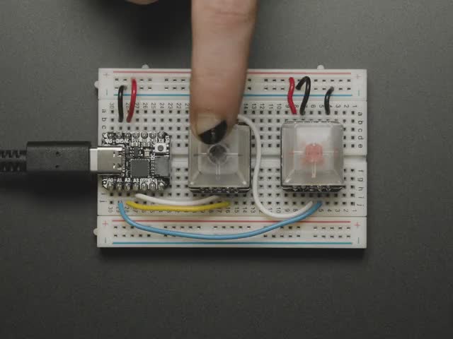 NeoKey Socket Breakout for Mechanical Key Switches with NeoPixel - For MX Compatible Switches - Video of breakout PCB installed on breadboard with key caps and switches. A finger reaches down to press the keys which light up rainbow colors.