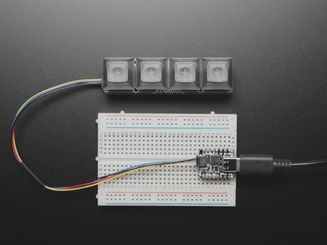 NeoKey 1x4 QT I2C - Four Mechanical Key Switches with NeoPixels - STEMMA QT / Qwiic - Top view video of a fully assembled NeoKey 1x4 QT I2C with switches and smoke gray keycaps powered by a QT Py on a breadboard. A hand reaches down to press the keys, which emit rainbow colors. 
