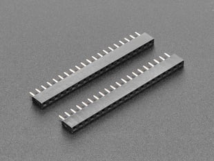 Angled shot of two 20-pin short female headers.